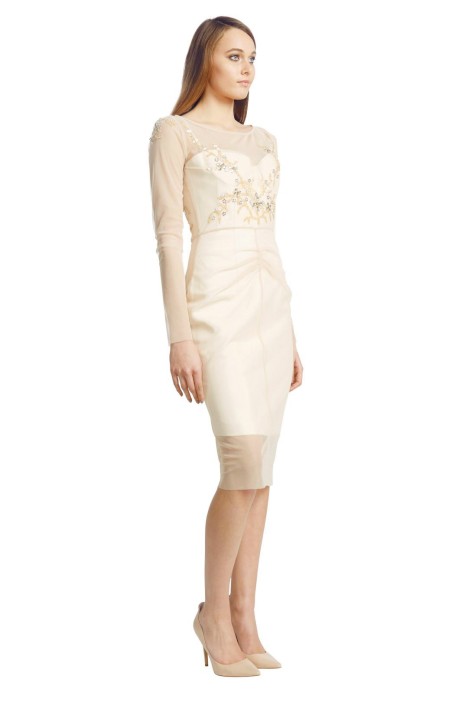 rent alex perry gown