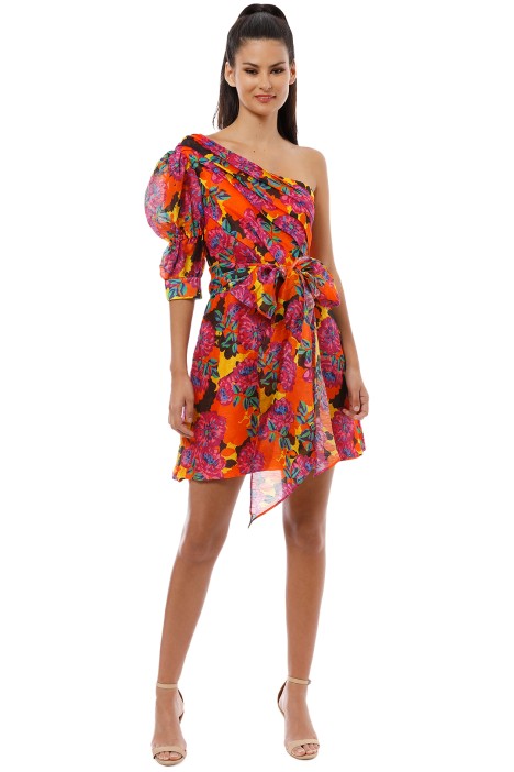 blossom mini dress talulah