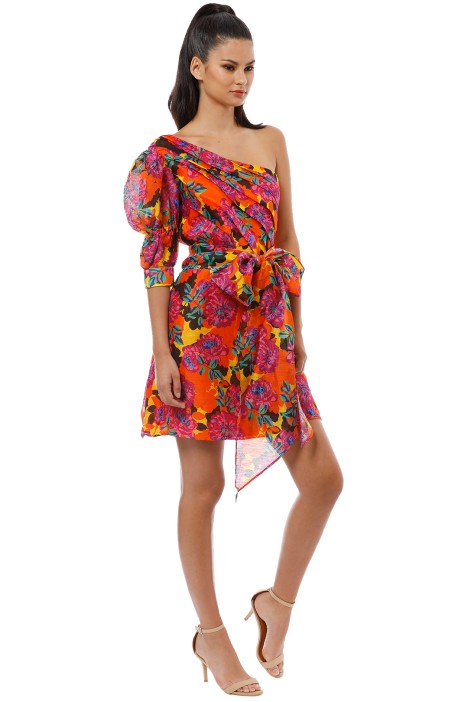 blossom mini dress talulah
